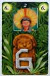 opbrengstkaart met getal '6'