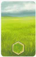 Kingdom Builder Gras Kingdom Builder Gras