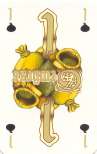 kaart01